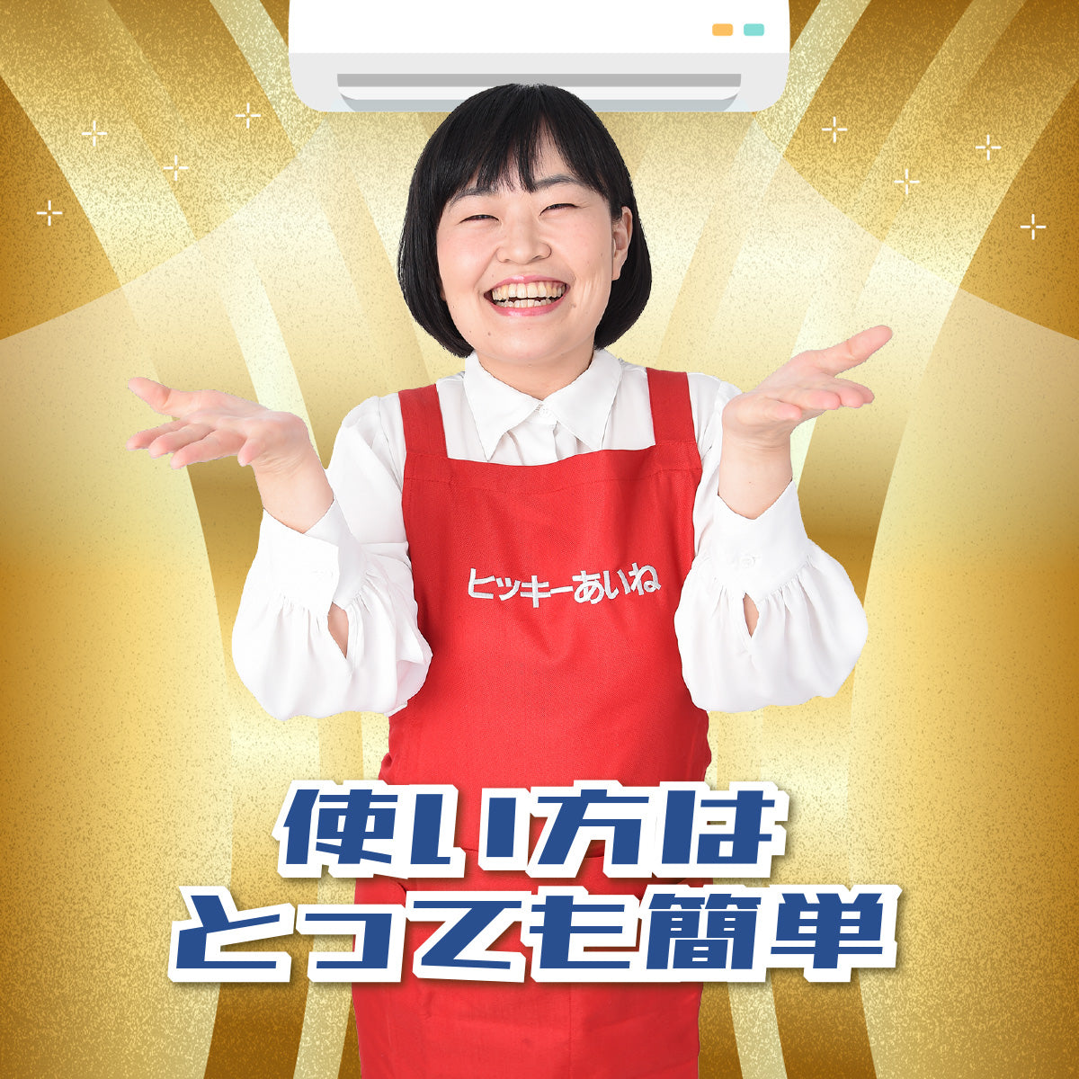 徹底洗浄 エアコン掃除カバー│のび〜るゴムで装着簡単