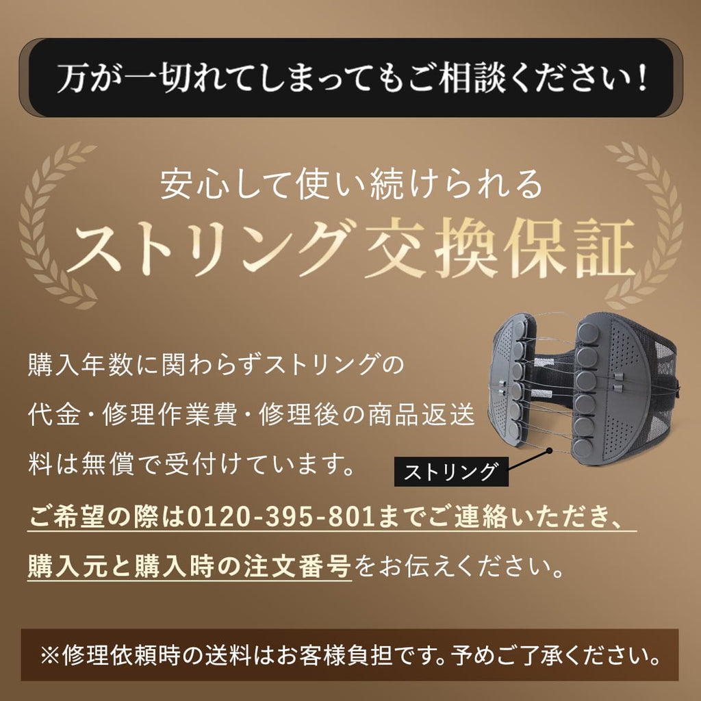 骨盤整隊カシャーン