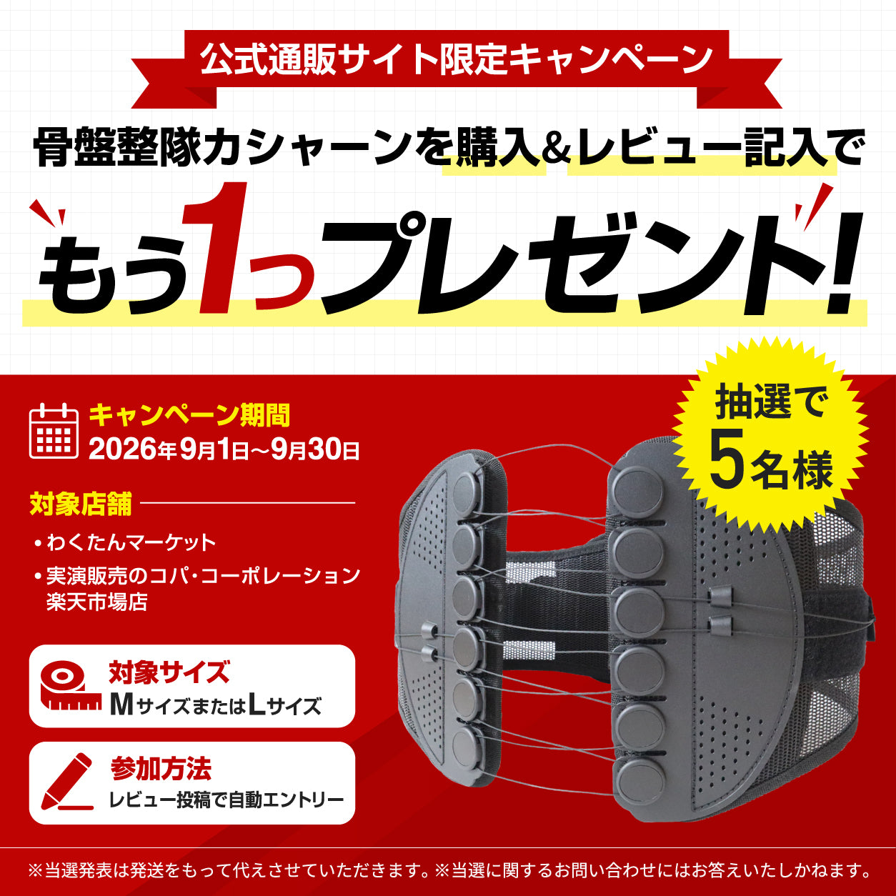 骨盤整隊カシャーン（こつばんせいたい）｜軽い力で骨盤を引き締めて姿勢をサポート